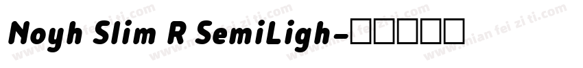 Noyh Slim R SemiLigh字体转换